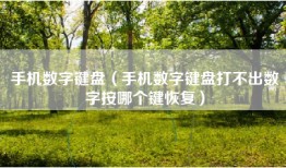 手机数字键盘（手机数字键盘打不出数字按哪个键恢复）