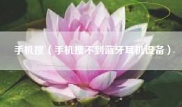 手机搜（手机搜不到蓝牙耳机设备）
