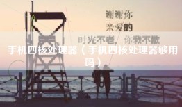 手机四核处理器（手机四核处理器够用吗）