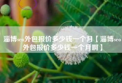 淄博seo外包报价多少钱一个月【淄博seo外包报价多少钱一个月啊】