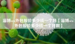 淄博seo外包报价多少钱一个月【淄博seo外包报价多少钱一个月啊】