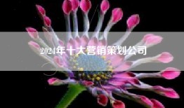 2024年十大营销策划公司