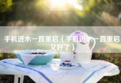 手机进水一直重启（手机进水一直重启又好了）