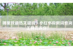 哪里找最热关键词？小红书极限词查询工具告诉你！