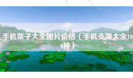 手机架子大全图片价格（手机支架大全100种）