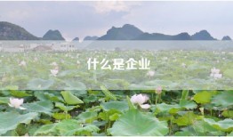 什么是企业