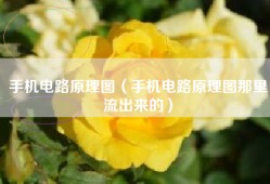 手机电路原理图（手机电路原理图那里流出来的）