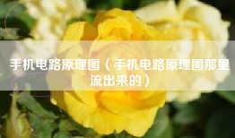 手机电路原理图（手机电路原理图那里流出来的）