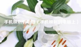 手机映射到电脑（手机映射到电脑上）