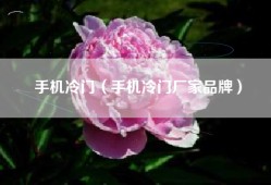 手机冷门（手机冷门厂家品牌）