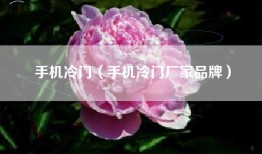 手机冷门（手机冷门厂家品牌）