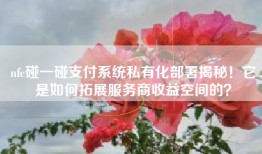 nfc碰一碰支付系统私有化部署揭秘！它是如何拓展服务商收益空间的？