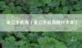 金立手机壳（金立手机壳图片大全）
