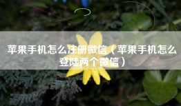 苹果手机怎么注册微信（苹果手机怎么登陆两个微信）
