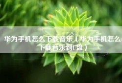 华为手机怎么下载音乐（华为手机怎么下载音乐到U盘）