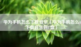 华为手机怎么下载音乐（华为手机怎么下载音乐到U盘）