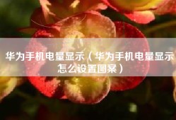 华为手机电量显示（华为手机电量显示怎么设置图案）