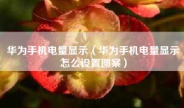 华为手机电量显示（华为手机电量显示怎么设置图案）