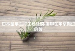 日本留学生打工经验谈-聊聊在东京搬过的砖