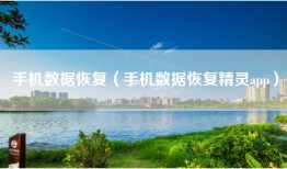 手机数据恢复(手机数据恢复精灵app)