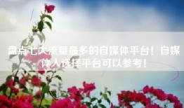 盘点七大流量最多的自媒体平台！自媒体人选择平台可以参考！