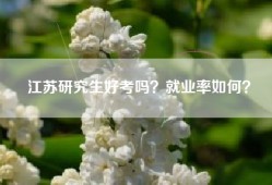 江苏研究生好考吗？就业率如何？