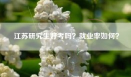江苏研究生好考吗？就业率如何？