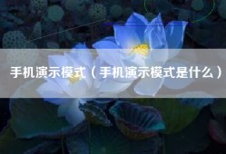 手机演示模式（手机演示模式是什么）