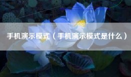 手机演示模式（手机演示模式是什么）