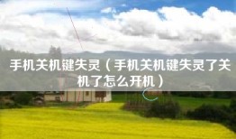 手机关机键失灵（手机关机键失灵了关机了怎么开机）