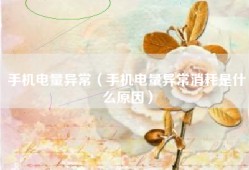 手机电量异常（手机电量异常消耗是什么原因）