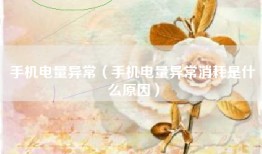 手机电量异常（手机电量异常消耗是什么原因）