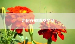 如何在微博发文章