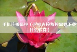 手机连接监控（手机连接监控需要下载什么软件）
