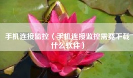 手机连接监控（手机连接监控需要下载什么软件）