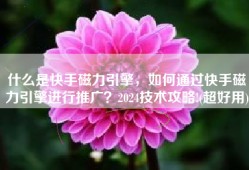 什么是快手磁力引擎，如何通过快手磁力引擎进行推广？2024技术攻略!(超好用)