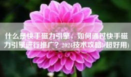 什么是快手磁力引擎，如何通过快手磁力引擎进行推广？2024技术攻略!(超好用)