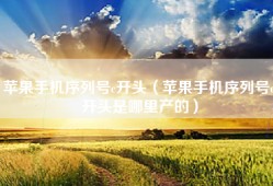 苹果手机序列号c开头（苹果手机序列号c开头是哪里产的）