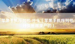 苹果手机序列号c开头（苹果手机序列号c开头是哪里产的）