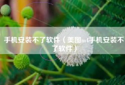 手机安装不了软件（美图m4手机安装不了软件）