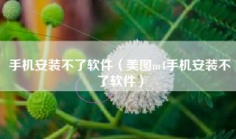 手机安装不了软件（美图m4手机安装不了软件）