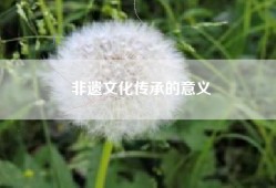 非遗文化传承的意义