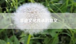 非遗文化传承的意义