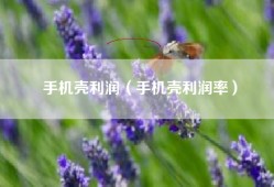 手机壳利润（手机壳利润率）