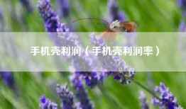 手机壳利润（手机壳利润率）