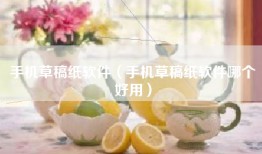手机草稿纸软件（手机草稿纸软件哪个好用）