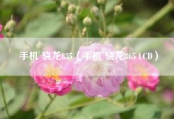 手机 骁龙835（手机 骁龙865 LCD）