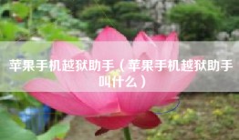 苹果手机越狱助手（苹果手机越狱助手叫什么）