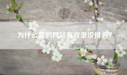 为什么我的网站有收录没排名？
