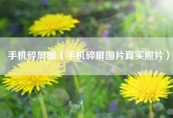 手机碎屏图（手机碎屏图片真实照片）